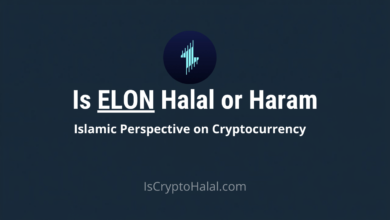 ELON Halal or Haram