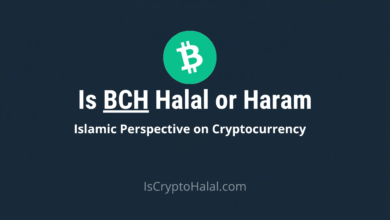 BCH Halal or Haram